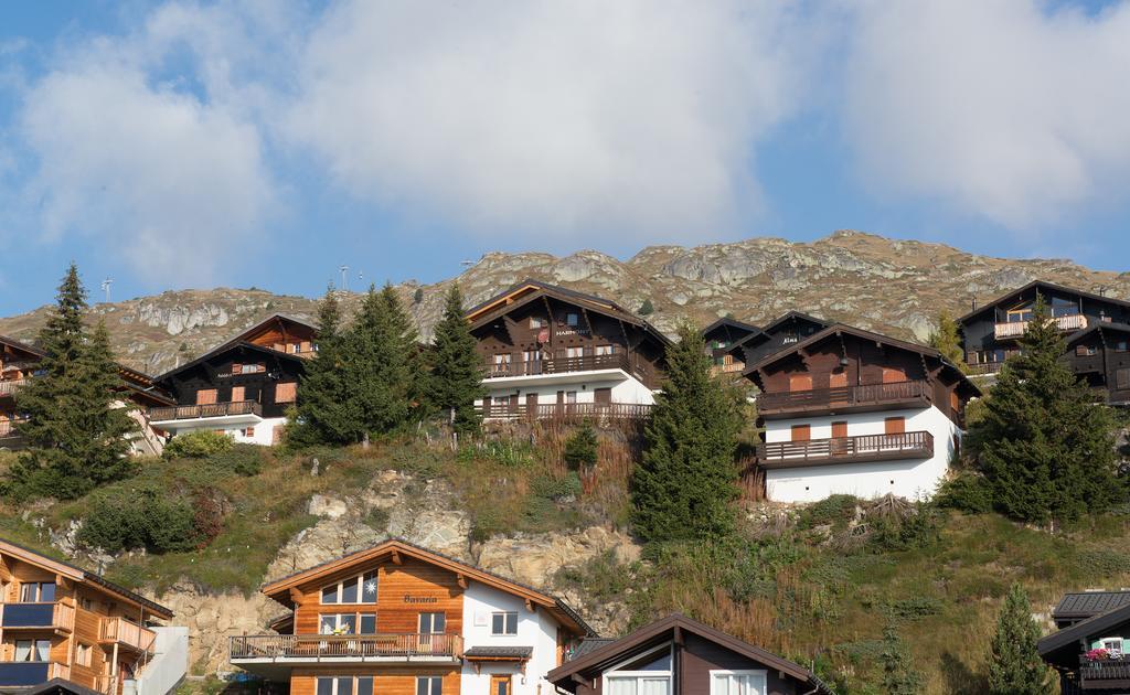 Harmony Eg Sued-Ost Διαμέρισμα Bettmeralp Εξωτερικό φωτογραφία